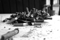 marlboro